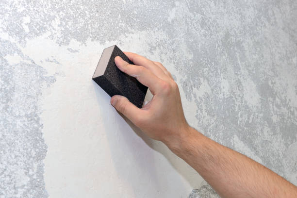 Best Mold Odor Removal Services  in Roseville, MI
