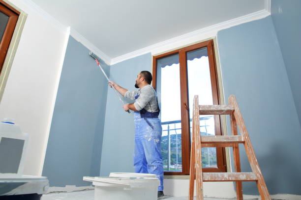 Best Mold Prevention Services  in Roseville, MI
