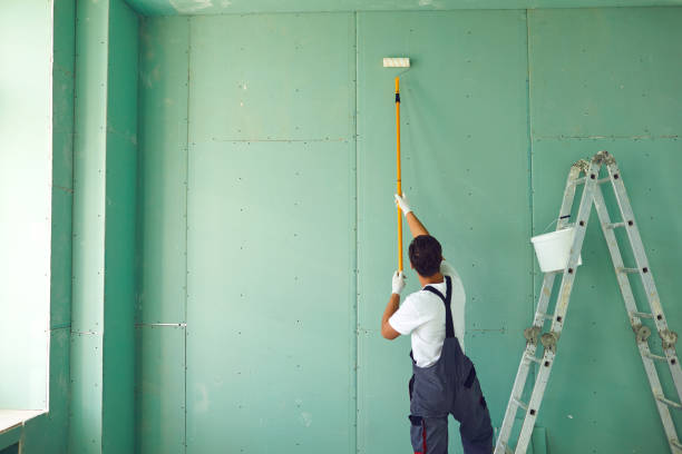 Best Mold Damage Restoration  in Roseville, MI