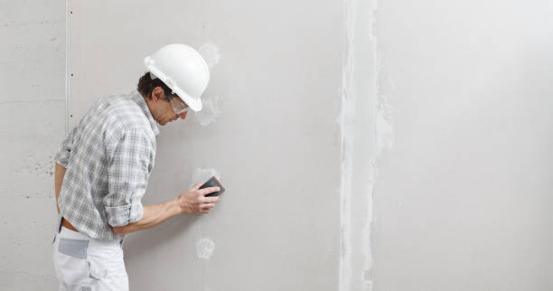 Roseville, MI Mold Removal Company