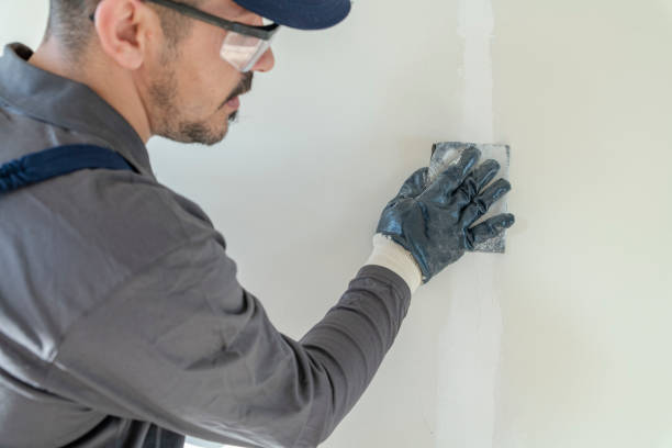  Roseville, MI Mold Removal Pros