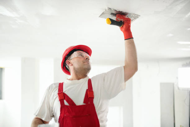 Best Mold Documentation for Insurance Claims  in Roseville, MI
