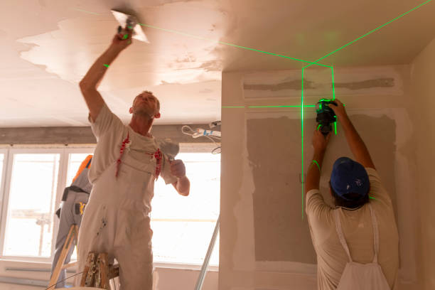 Best Airborne Mold Testing  in Roseville, MI